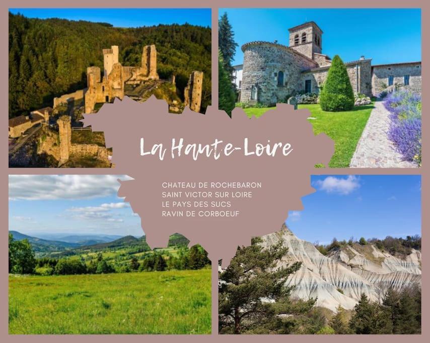 Le Lagon Bleu - Appt Wifi Parking Balcon Le Puy-en-Velay Kültér fotó